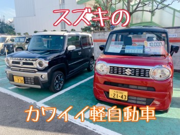 車買うなら今ですよみなさーん！